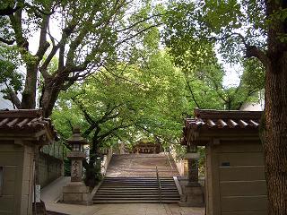 b0172497_223540100.jpg