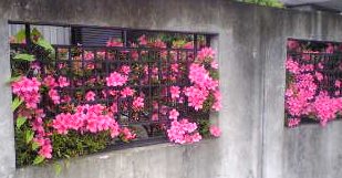 e0087901_2155109.jpg