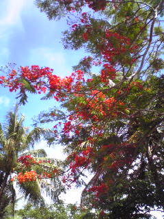 e0131904_16424972.jpg