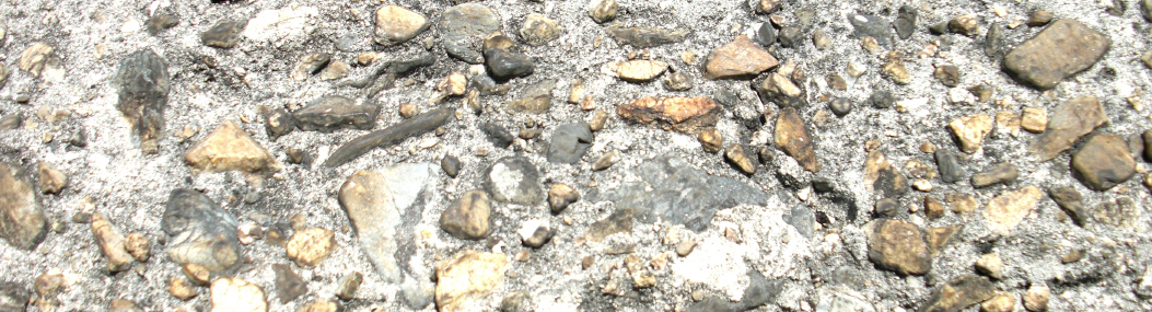 e0125014_16331214.jpg