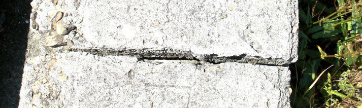 e0125014_16371326.jpg
