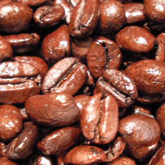 c0036617_75745.jpg