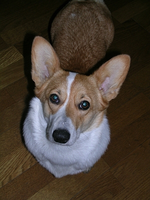 d0037729_028090.jpg