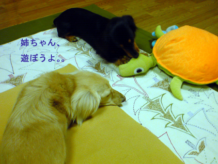c0117831_22225869.jpg