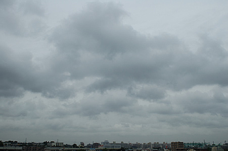 a0003238_742196.jpg