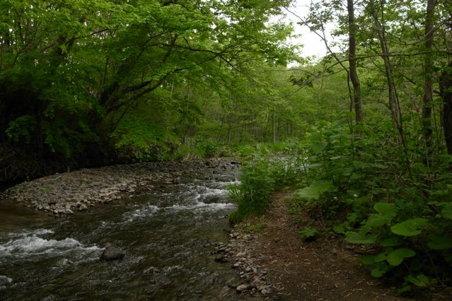 c0184643_15162740.jpg