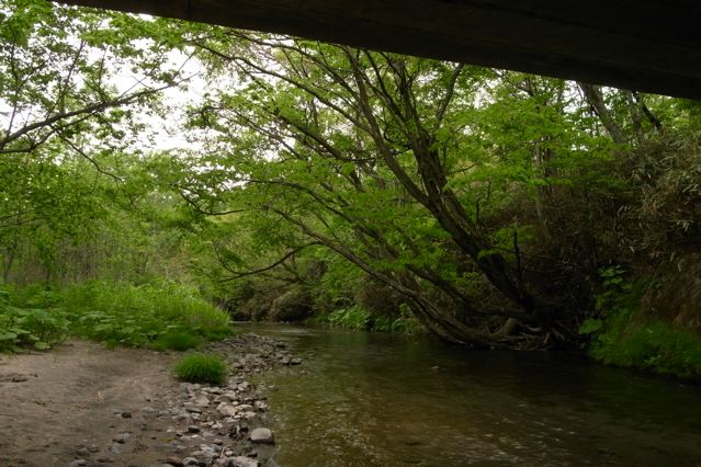 c0184643_1518413.jpg