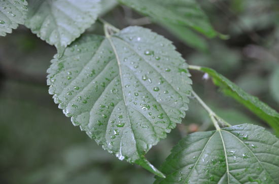 f0094843_23183046.jpg
