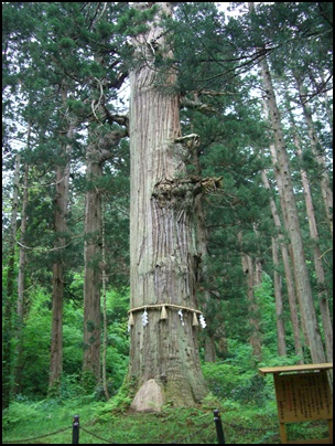 f0072846_202001.jpg