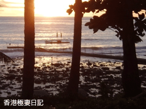 f0190653_11352220.gif