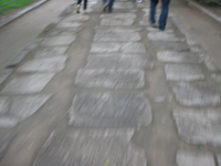 b0064461_20194659.jpg
