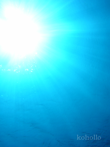 b0062363_2185222.jpg