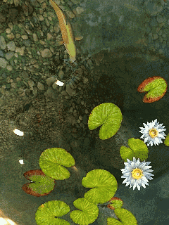 a0063364_12573051.gif