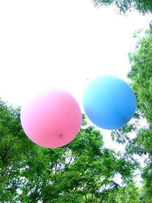 d0102664_0312698.jpg