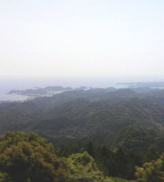 d0099166_2375167.jpg