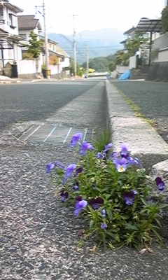 e0143667_11352788.jpg