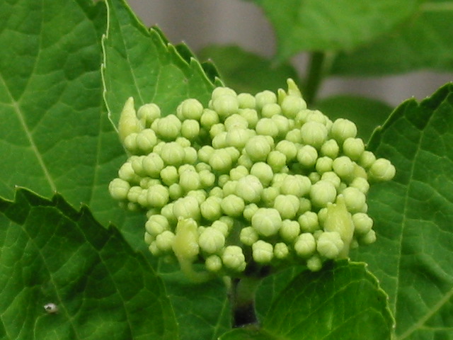 d0094868_12242669.jpg