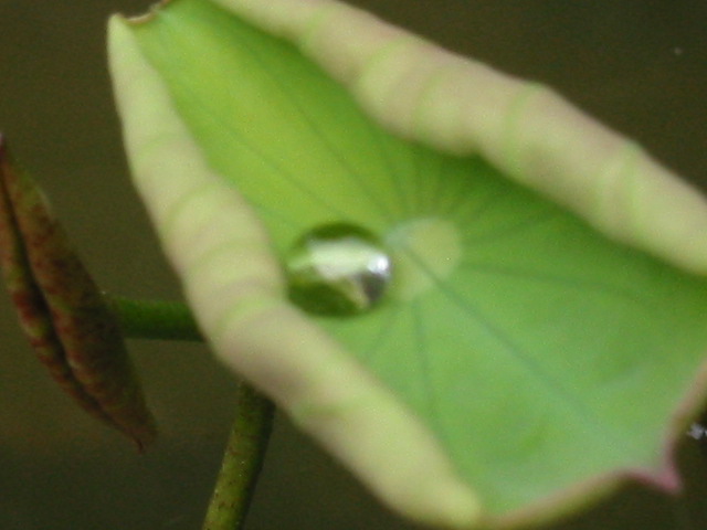 d0094868_12244275.jpg