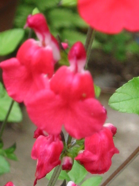 d0094868_12252253.jpg