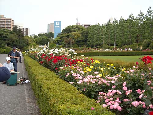 e0097770_2354414.jpg