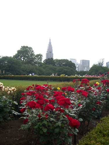 e0097770_2354627.jpg