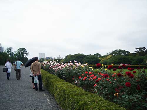 e0097770_23574015.jpg
