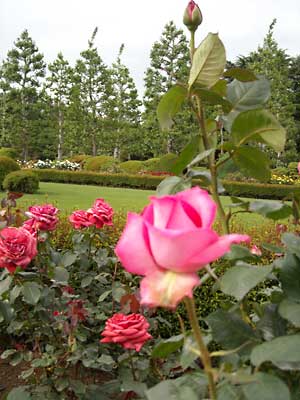 e0097770_23575628.jpg