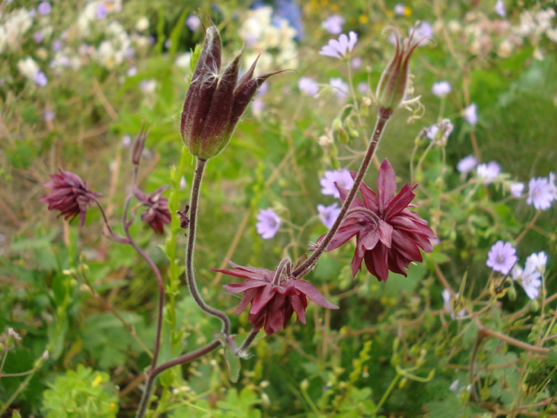 f0165677_20222012.jpg