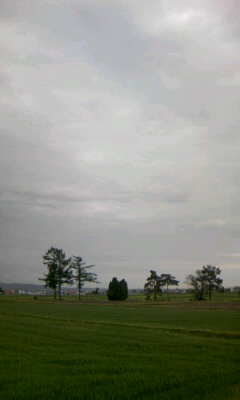 f0203580_10113920.jpg