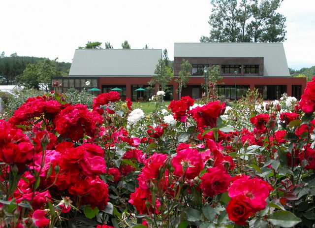 b0169987_11235719.jpg
