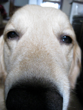 c0096393_23573569.jpg