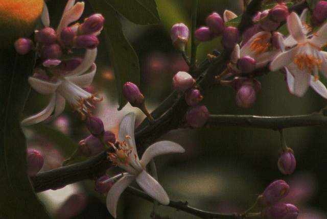 d0133693_17572037.jpg