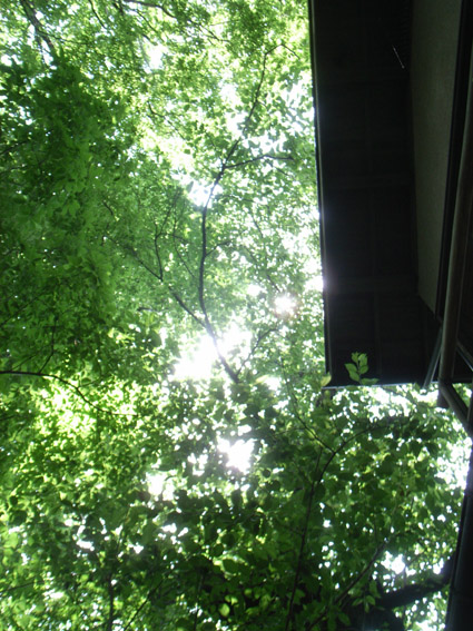 b0162295_9545072.jpg