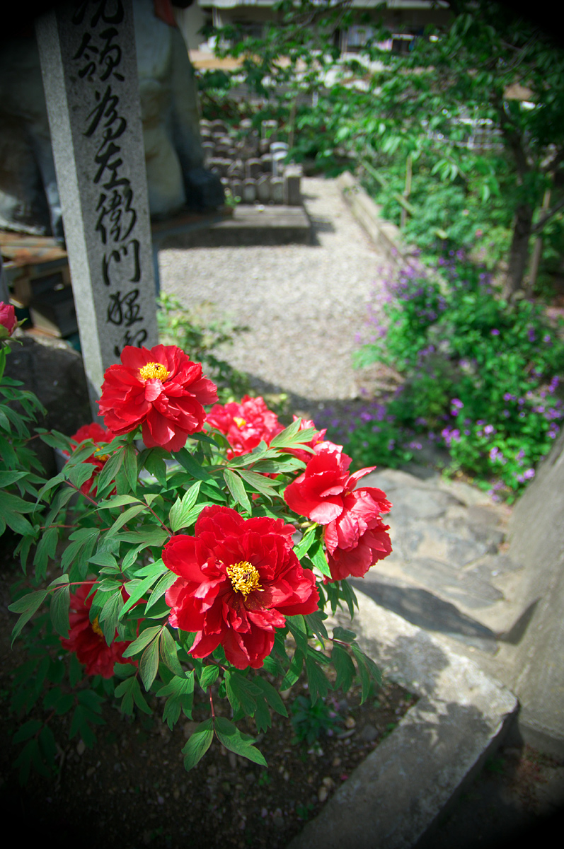 d0146295_231381.jpg