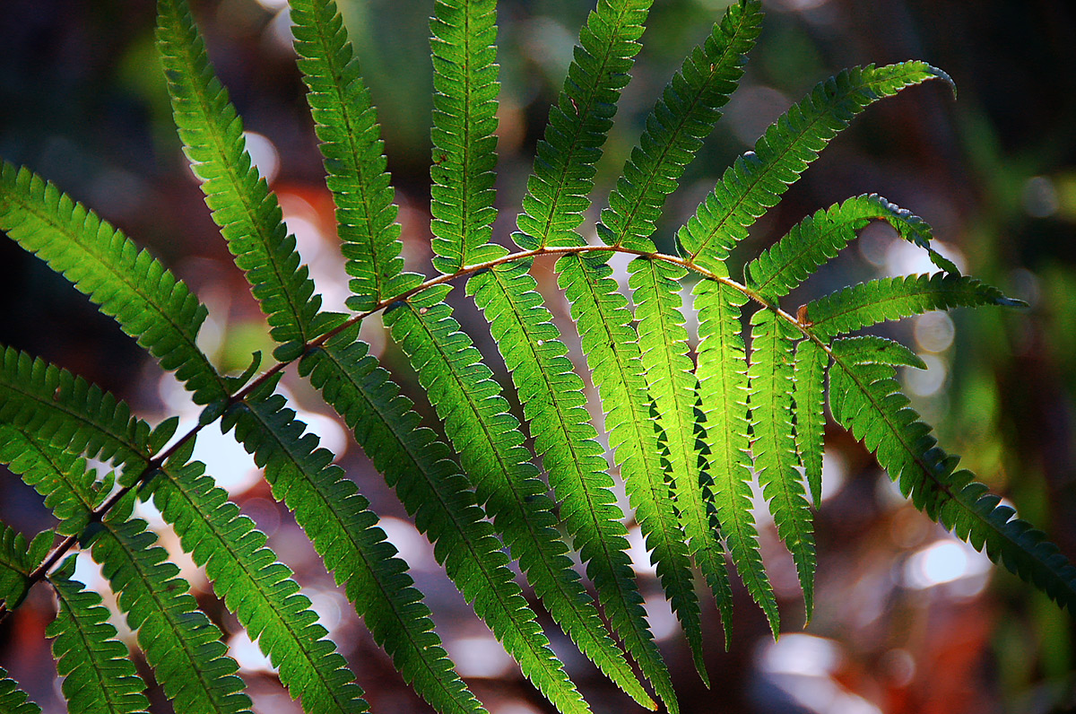 d0146295_23313148.jpg