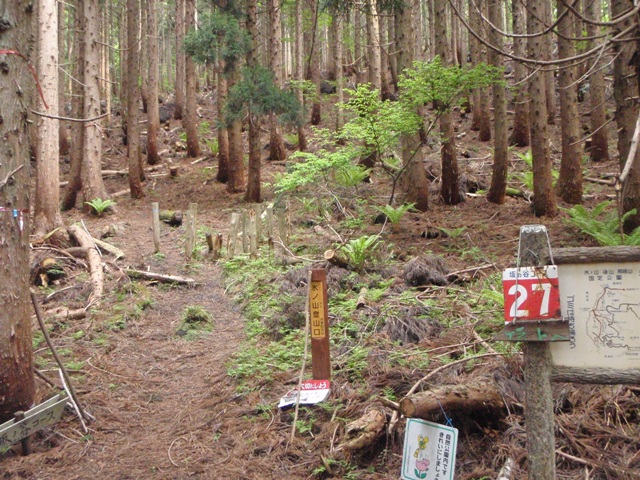 c0147398_1115966.jpg