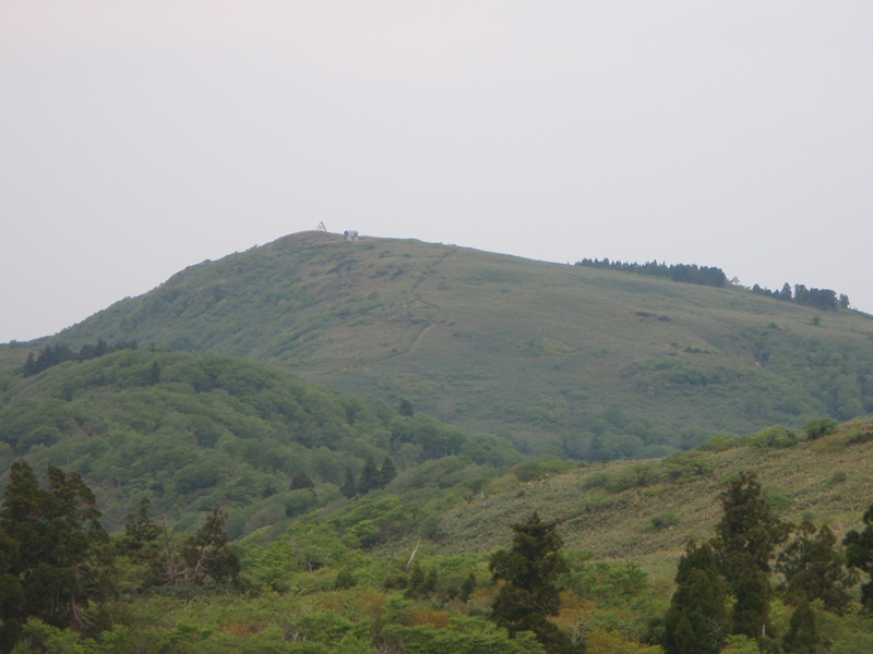 c0147398_1134411.jpg
