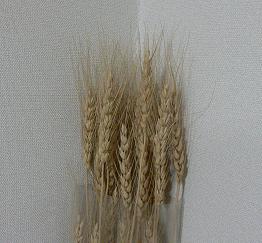 f0185902_23475557.jpg