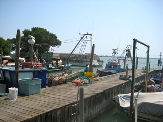 b0142203_3393627.jpg