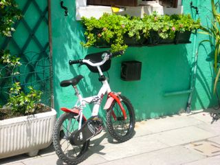 b0142203_3571185.jpg