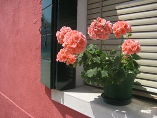 b0142203_3575553.jpg