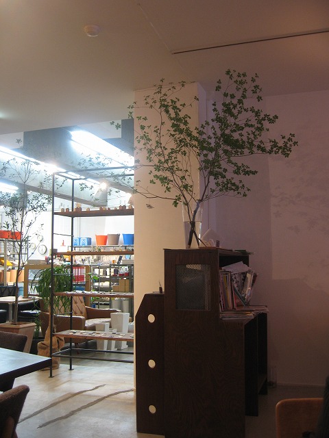 f0202703_044397.jpg