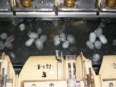 c0178008_2354767.jpg