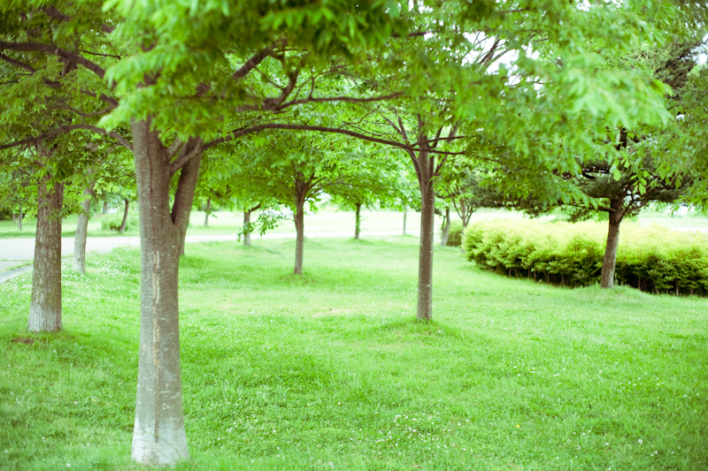 d0146912_22484733.jpg