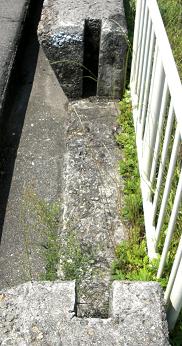 e0125014_951696.jpg