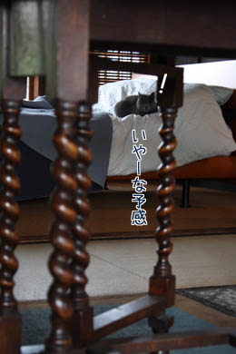 e0156015_741391.jpg