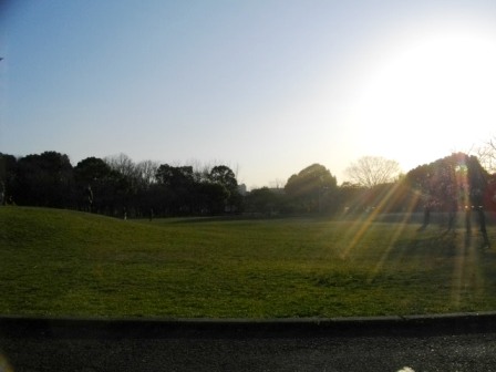 e0119017_2242429.jpg