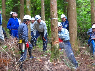 e0002820_2317193.jpg