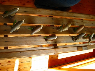 e0002820_2323426.jpg