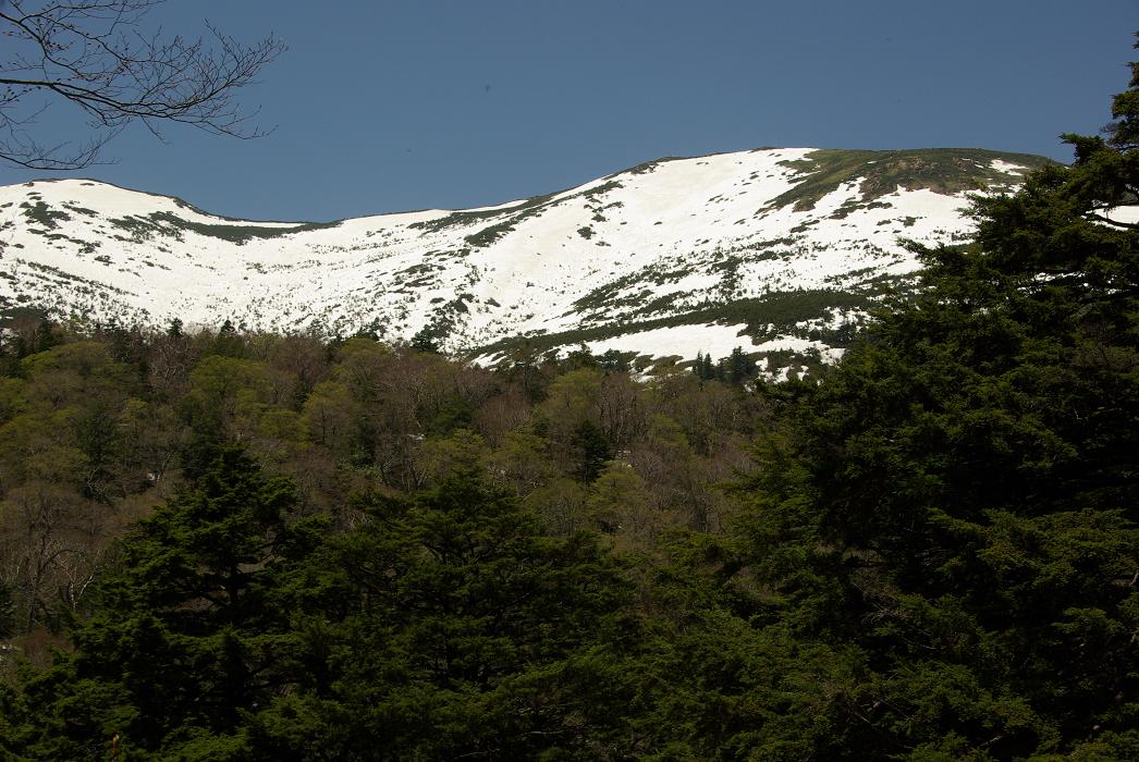 b0062024_21424335.jpg
